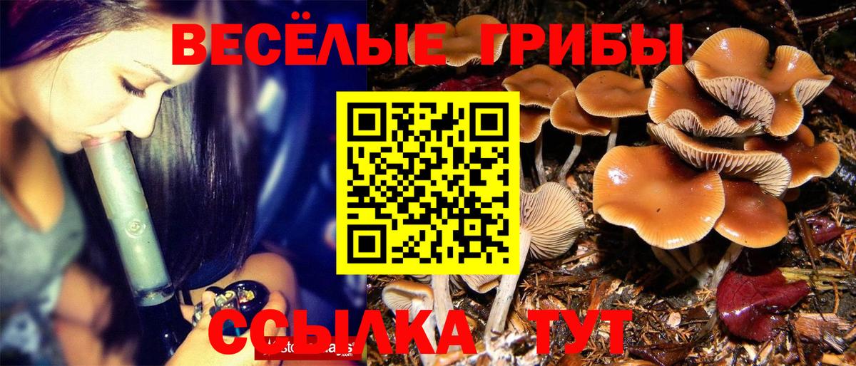 Псилоцибиновые грибы мухоморы  Псилоцибиновые грибы ЛСД  закладка  Каменск-Шахтинский  Вход с VPN 