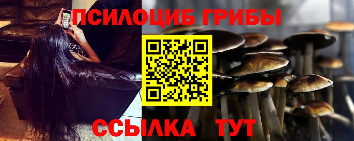 Псилоцибиновые грибы мицелий Каменск-Шахтинский